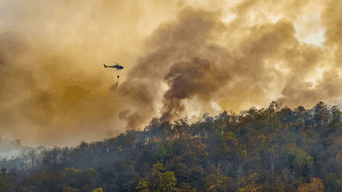 California Wildfires Impact on Supply Chains and Construction Timelines